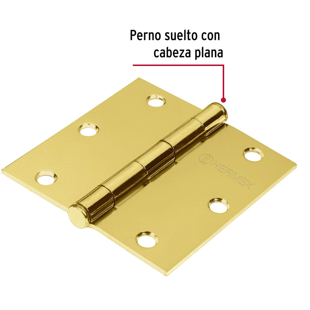 Bisagra de libro cuadrada 3-1/2", latonado, cabeza plana, 1pz, HERMEX BC-351P (43238)