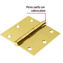 Cargar imagen en el visor de la galería, Bisagra de libro cuadrada 3-1/2&quot;, latonado, cabeza plana, 1pz, HERMEX BC-351P (43238)