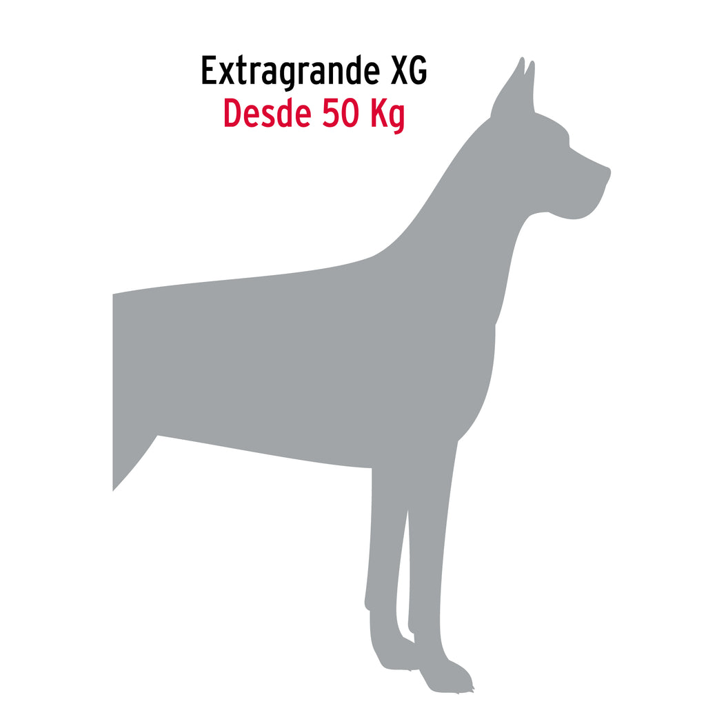 Correa de 1.2 m de paseo para perro, eslabón 5 mm, FIERO CAPE-50 (44286)