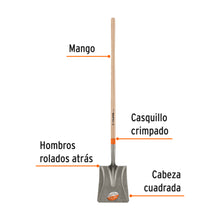 Cargar imagen en el visor de la galería, Pala cuadrada Classic, mango largo 48&quot;, TRUPER PCL (17170)