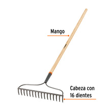 Cargar imagen en el visor de la galería, Rastrillo jardinero Classic, 16 dientes, mango 54&quot;, TRUPER R-16AM (17882)