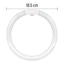 Cargar imagen en el visor de la galería, Repuesto de lámpara circular para F-22CIMC en caja, VOLTECK REP-F-22CIMC (48239)